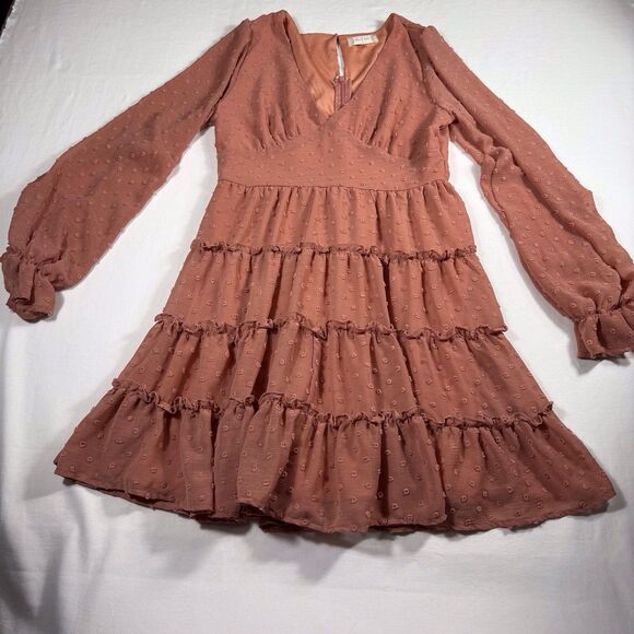 Altard State Dress Womens Small Rose Swiss Dot Cottage Ruffle Zip Up Flowy Gauzy - Picture 11 of 14